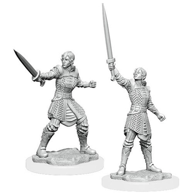 Wizkids: Critical Role: Human Dwendalian Empire Fighter