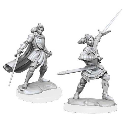 Wizkids: Critical Role: Half- Elf Xhorhas Paladin