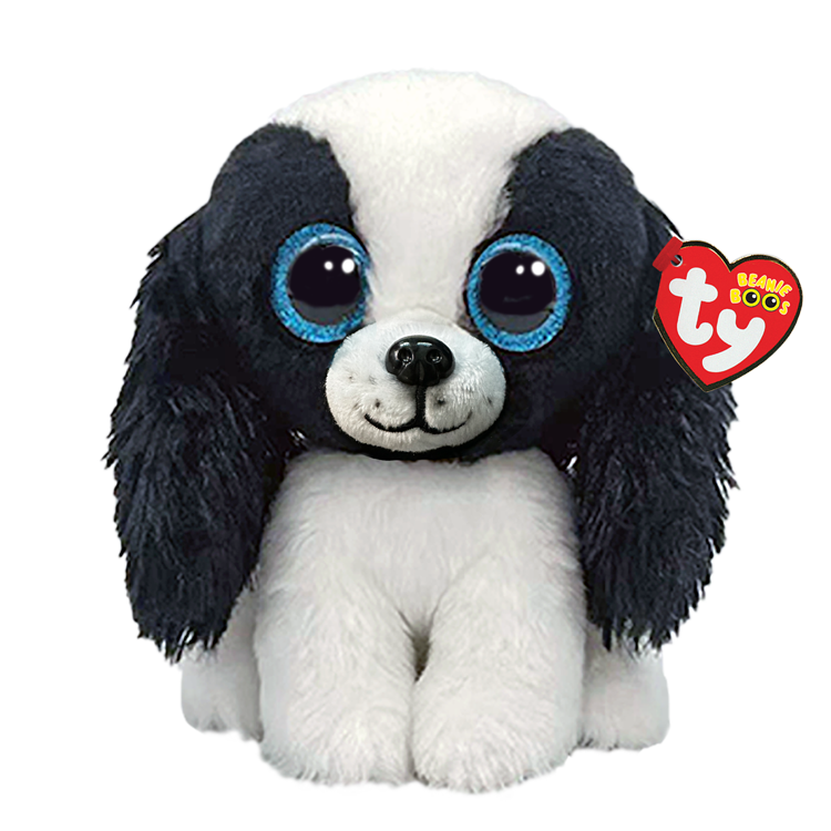 TY: Beanie Boos: Small: Sissy (Black and White Dog)