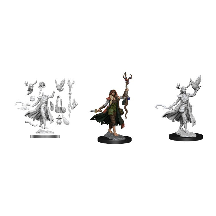 Wizkids: D&D Frameworks: Human Druid