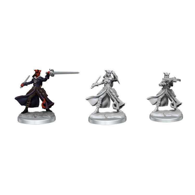 Wizkids: D&D Frameworks: Tiefling Rogue