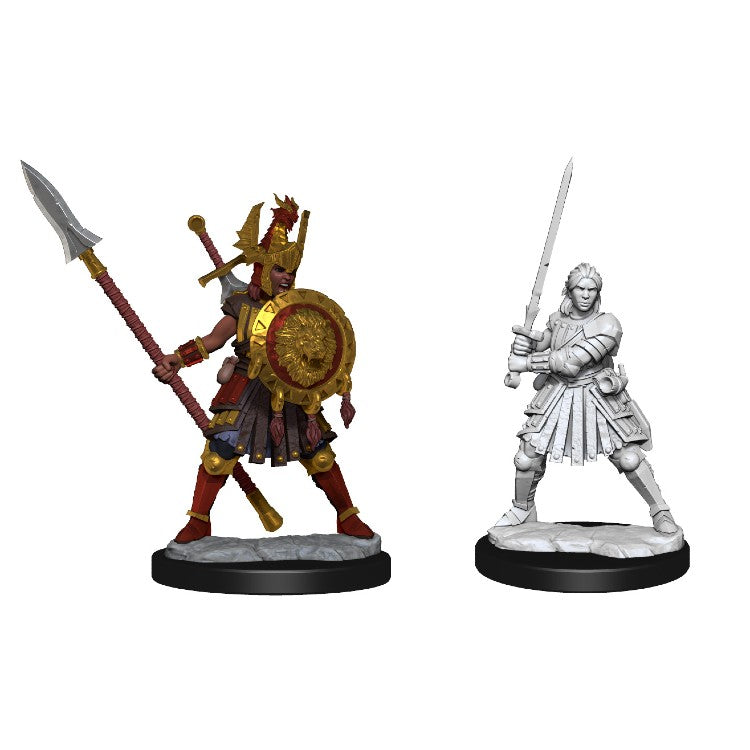 Wizkids: D&D Frameworks: Human Fighter