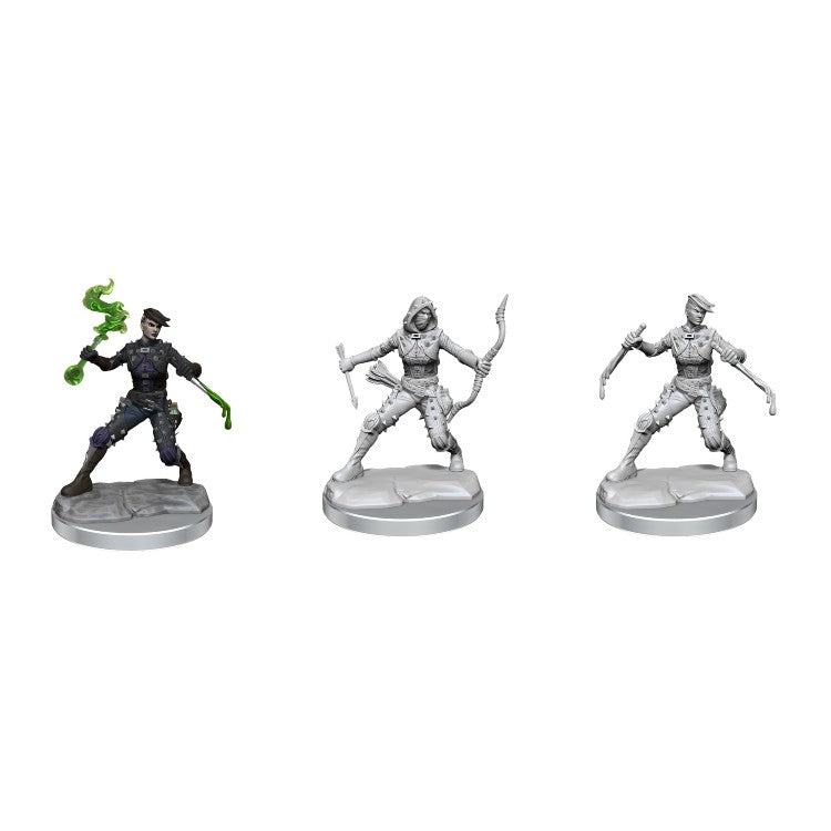 Wizkids: D&D Frameworks: Human Rogue