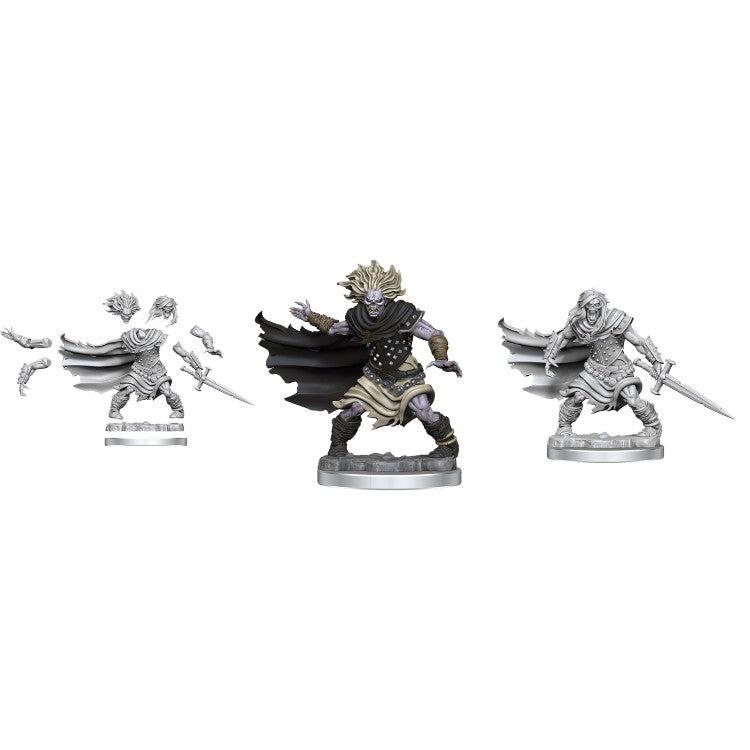 Wizkids: D&D Frameworks: Wight