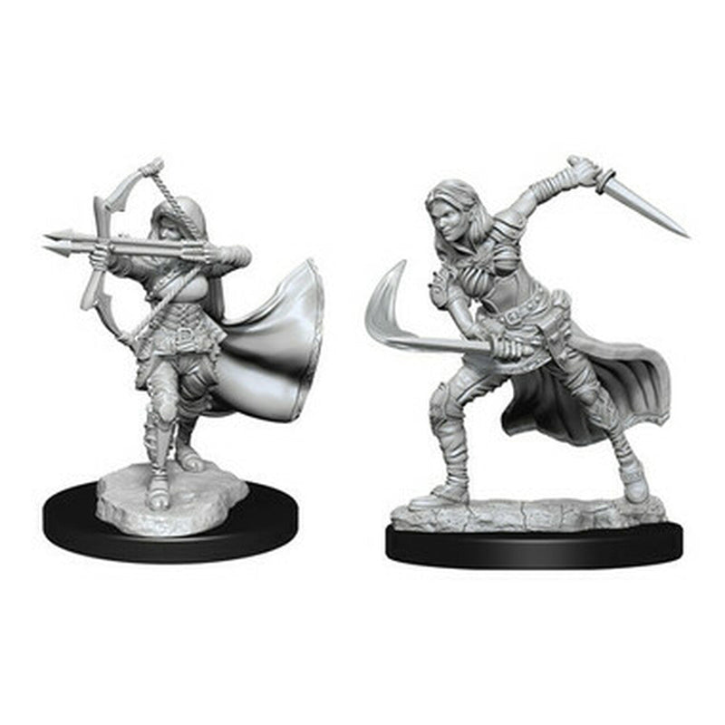 Wizkids: Nolzur's Marvelous Miniatures: Air Genasi Female