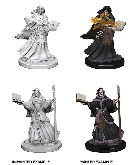 Wizkids: Nolzur's Marvelous Miniatures: Human Wizard