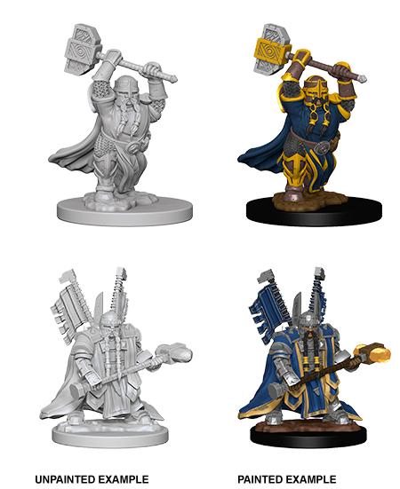 Wizkids: Nolzur's Marvelous Miniatures: Dwarf Paladin