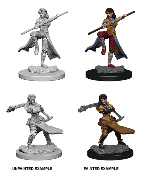 Wizkids: Nolzur's Marvelous Miniatures: Human Monk