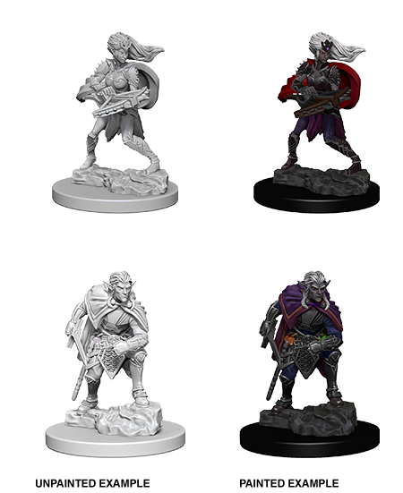 Wizkids: Nolzur's Marvelous Miniatures: Drow