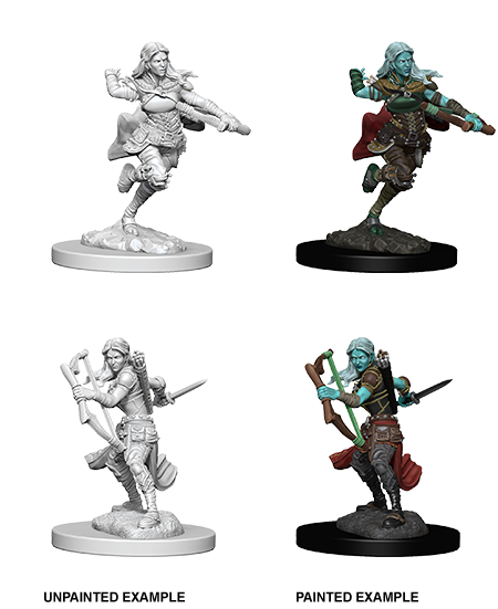 Wizkids: Nolzur's Marvelous Miniatures: Air Genasi Rogue