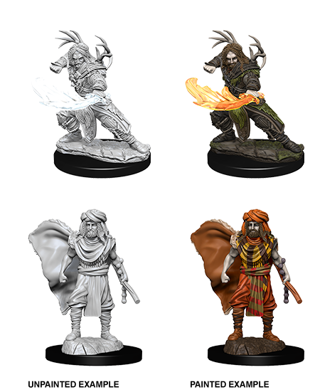 Wizkids: Nolzur's Marvelous Miniatures: Human Druid