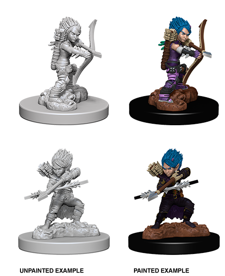 Wizkids: Pathfinder: Deep Cuts: Female Gnome Rogue