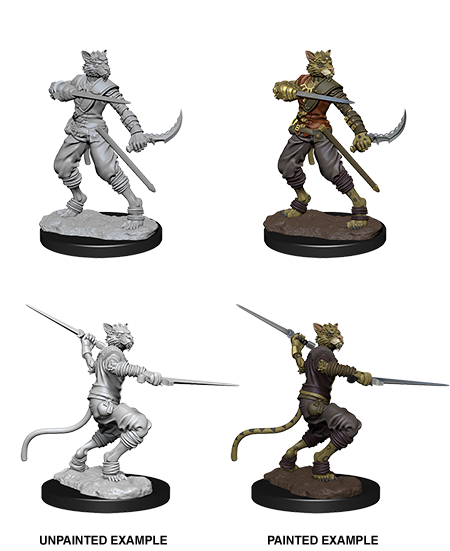 Wizkids: Nolzur's Marvelous Miniatures: Tabaxi Rogue