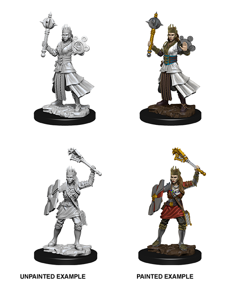 Wizkids: Nolzur's Marvelous Miniatures: Human Cleric