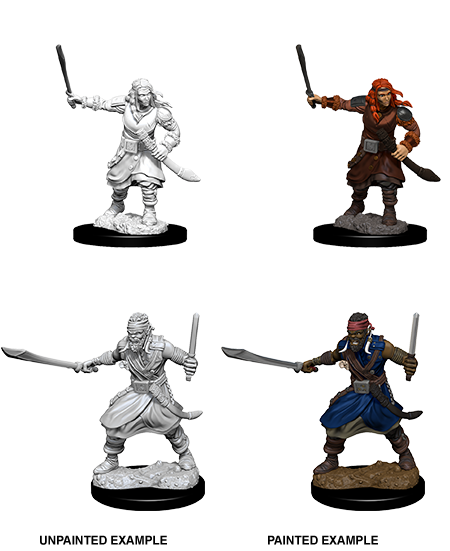 Wizkids: Nolzur's Marvelous Miniatures: Bandits