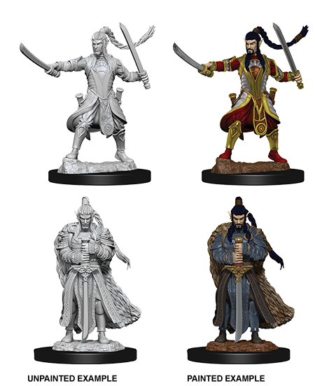 Wizkids: Nolzur's Marvelous Miniatures: Elf Paladin