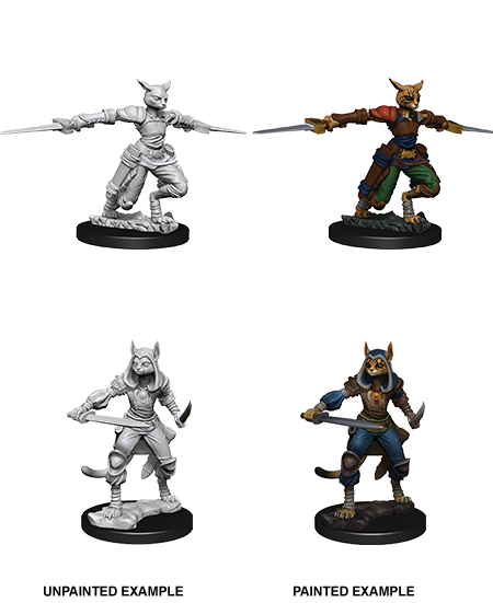 Wizkids: Nolzur's Marvelous Miniatures: Tabaxi Rogue