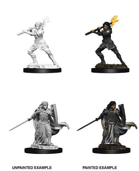 Wizkids: Nolzur's Marvelous Miniatures: Human Paladin