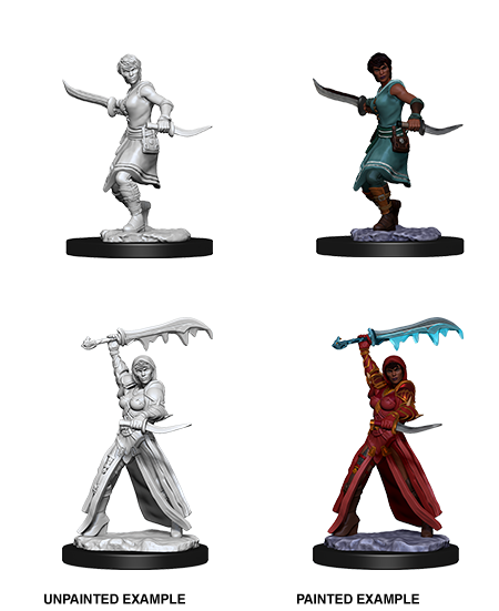 Wizkids: Nolzur's Marvelous Miniatures: Human Rogue