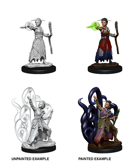 Wizkids: Nolzur's Marvelous Miniatures: Human Warlock