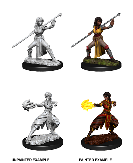 Wizkids: Nolzur's Marvelous Miniatures: Half-Elf Monk