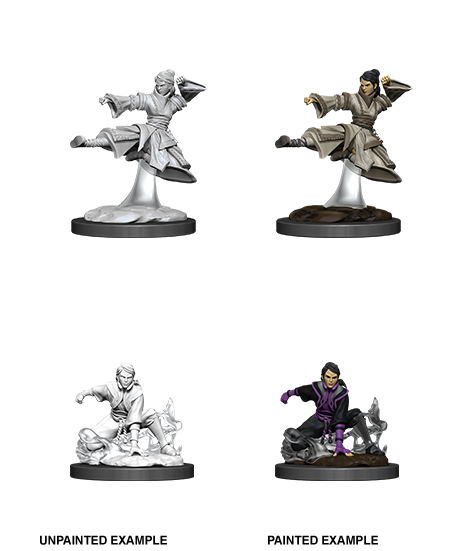 Wizkids: Nolzur's Marvelous Miniatures: Human Monk