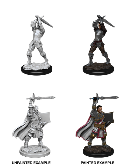 Wizkids: Nolzur's Marvelous Miniatures: Human Paladin