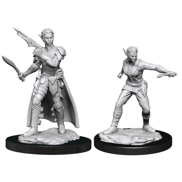 Wizkids: Nolzur's Marvelous Miniatures: Shifter Rogue