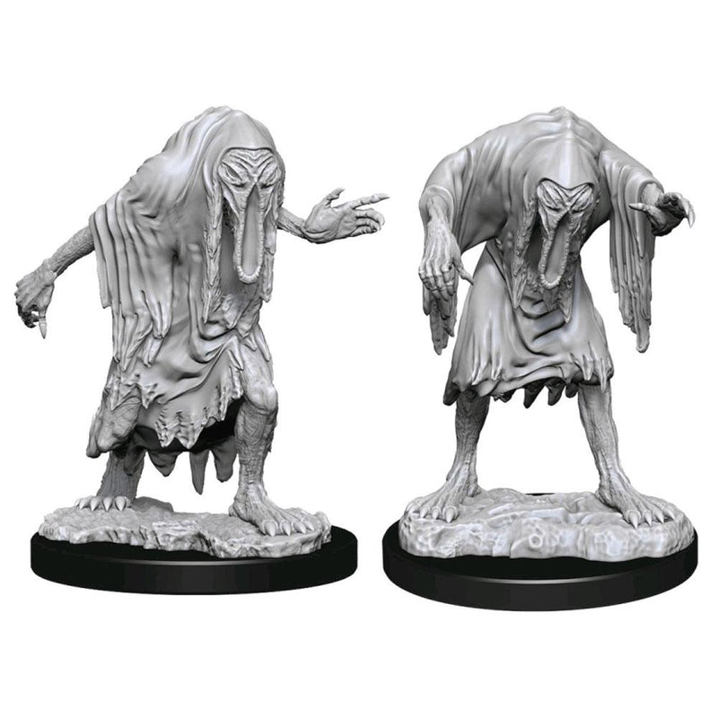 Wizkids: Nolzur's Marvelous Miniatures: Bodaks