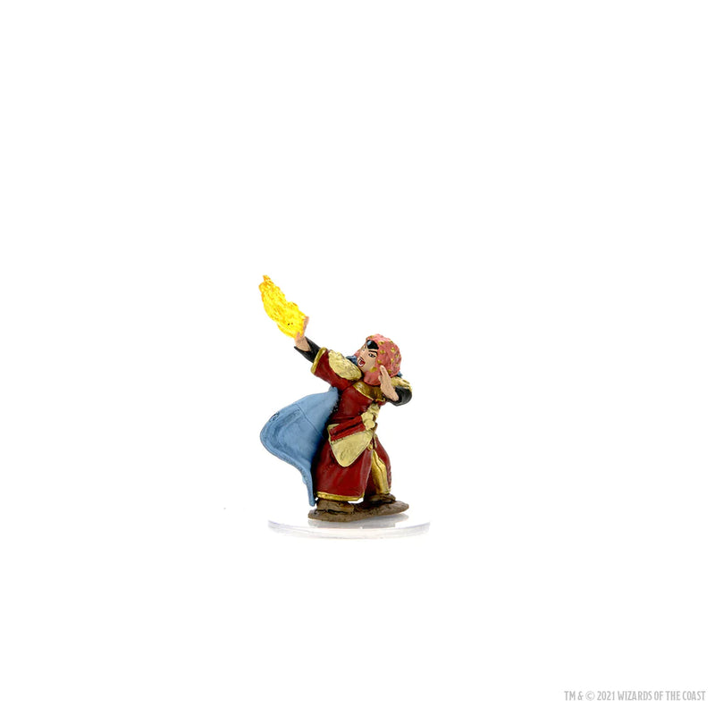 Wizkids: Icons of the Realms Premium Miniatures: Dwarf Wizard