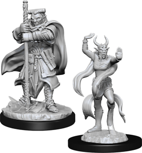 Wizkids: Nolzur's Marvelous Miniatures: Hobgoblin Devastator & Iron Shadow