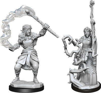 Wizkids: Nolzur's Marvelous Miniatures: Firbolg Druid