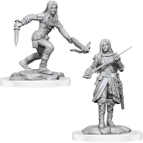 Wizkids Nolzur's Marvelous Miniatures: Half Elf Rogue